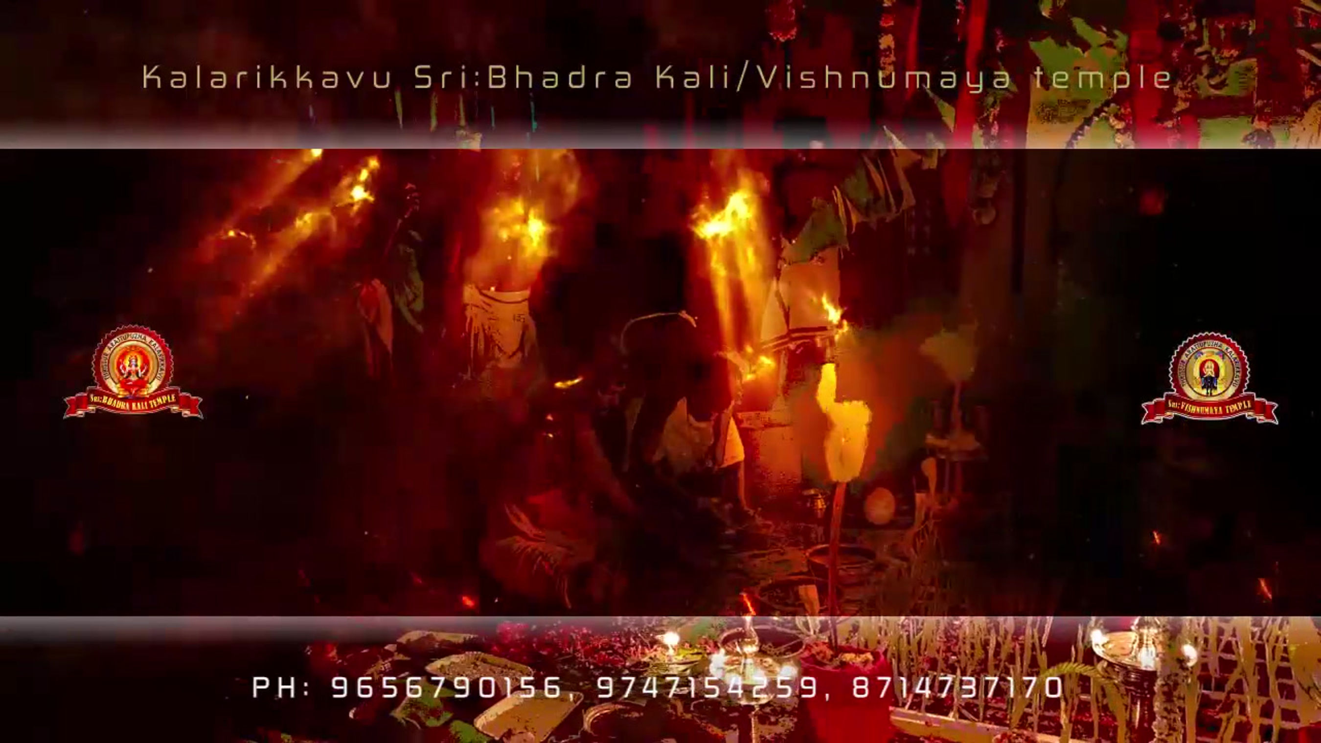All Videos